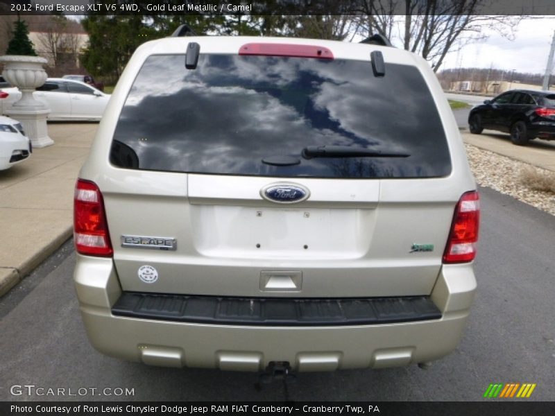 Gold Leaf Metallic / Camel 2012 Ford Escape XLT V6 4WD