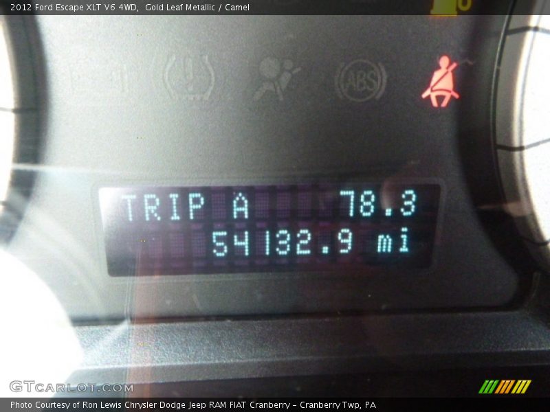 Gold Leaf Metallic / Camel 2012 Ford Escape XLT V6 4WD