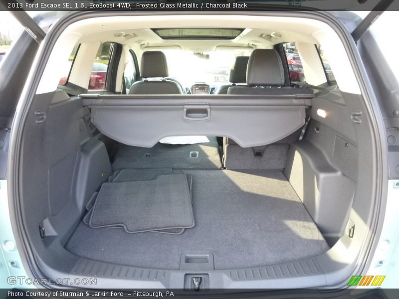 Frosted Glass Metallic / Charcoal Black 2013 Ford Escape SEL 1.6L EcoBoost 4WD