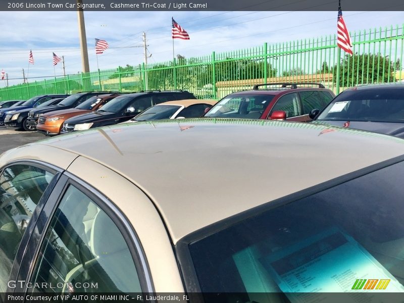 Cashmere Tri-Coat / Light Camel 2006 Lincoln Town Car Signature