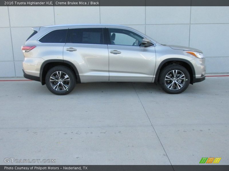 Creme Brulee Mica / Black 2016 Toyota Highlander XLE