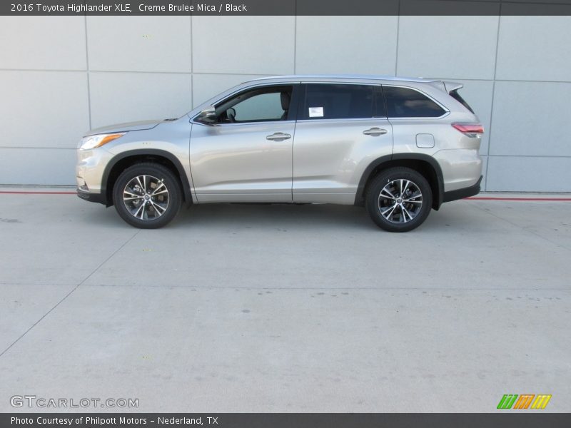 Creme Brulee Mica / Black 2016 Toyota Highlander XLE