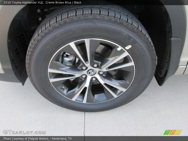 Creme Brulee Mica / Black 2016 Toyota Highlander XLE