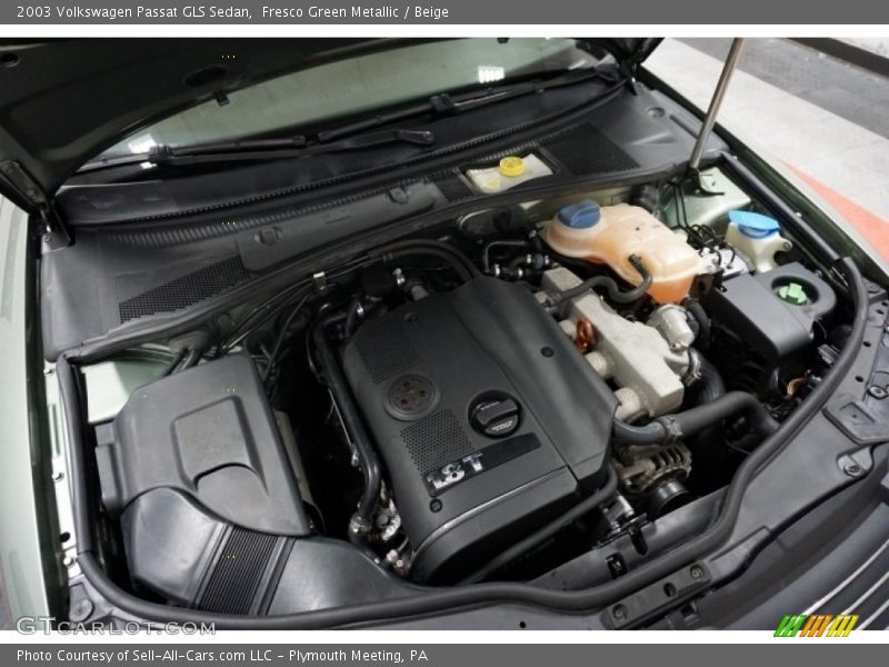 Fresco Green Metallic / Beige 2003 Volkswagen Passat GLS Sedan