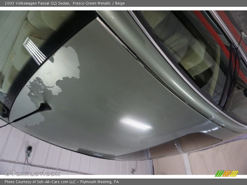 Fresco Green Metallic / Beige 2003 Volkswagen Passat GLS Sedan
