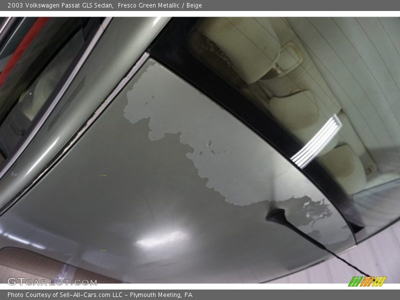 Fresco Green Metallic / Beige 2003 Volkswagen Passat GLS Sedan