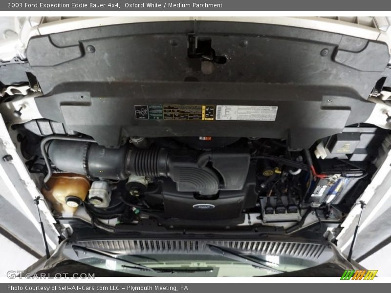Oxford White / Medium Parchment 2003 Ford Expedition Eddie Bauer 4x4