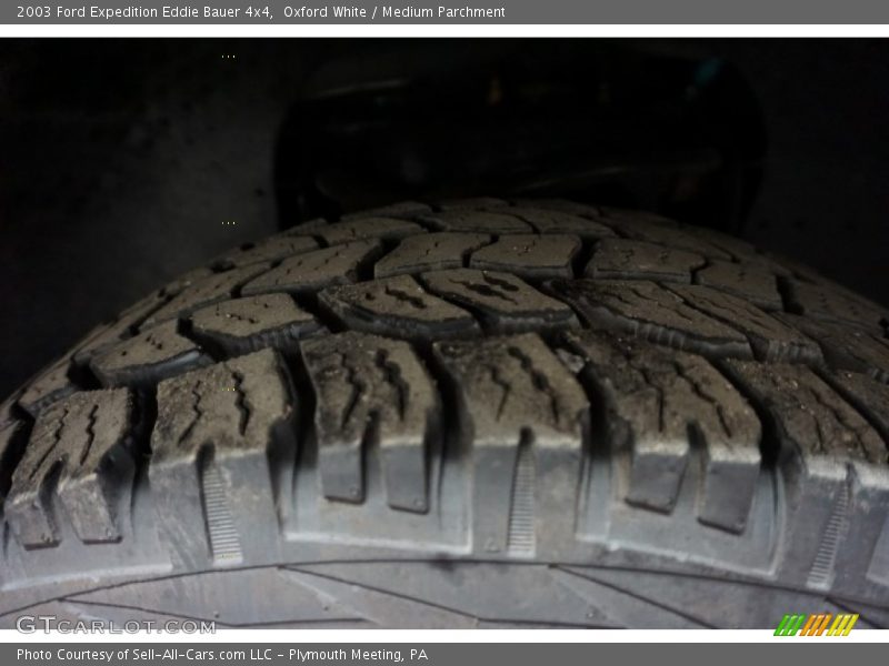 Oxford White / Medium Parchment 2003 Ford Expedition Eddie Bauer 4x4