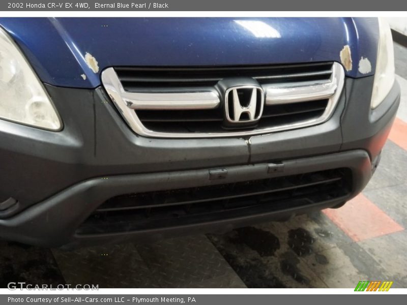 Eternal Blue Pearl / Black 2002 Honda CR-V EX 4WD