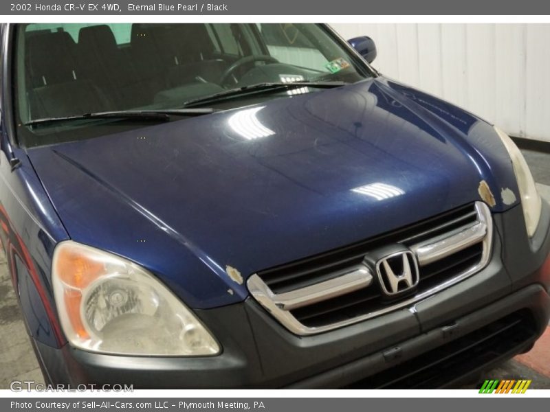 Eternal Blue Pearl / Black 2002 Honda CR-V EX 4WD