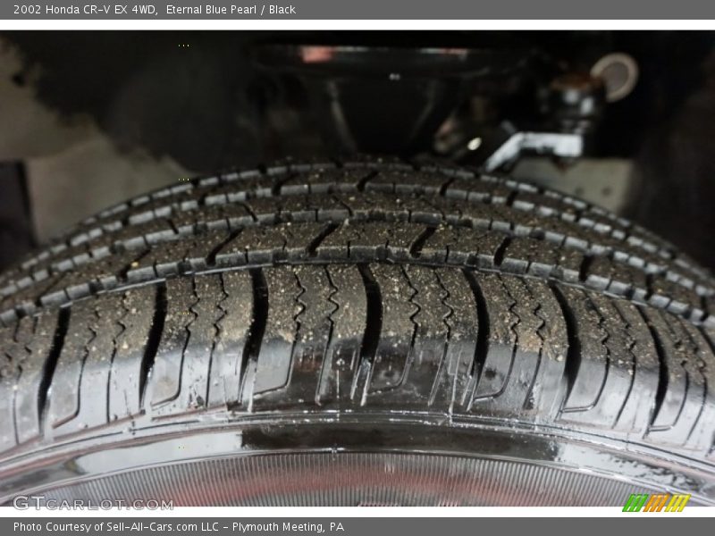 Eternal Blue Pearl / Black 2002 Honda CR-V EX 4WD