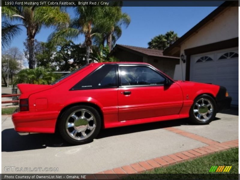 Bright Red / Grey 1993 Ford Mustang SVT Cobra Fastback