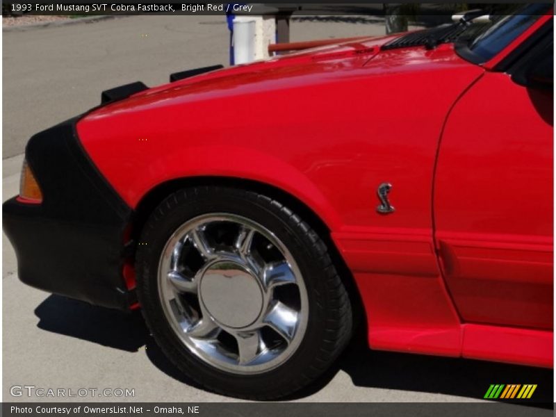 Bright Red / Grey 1993 Ford Mustang SVT Cobra Fastback
