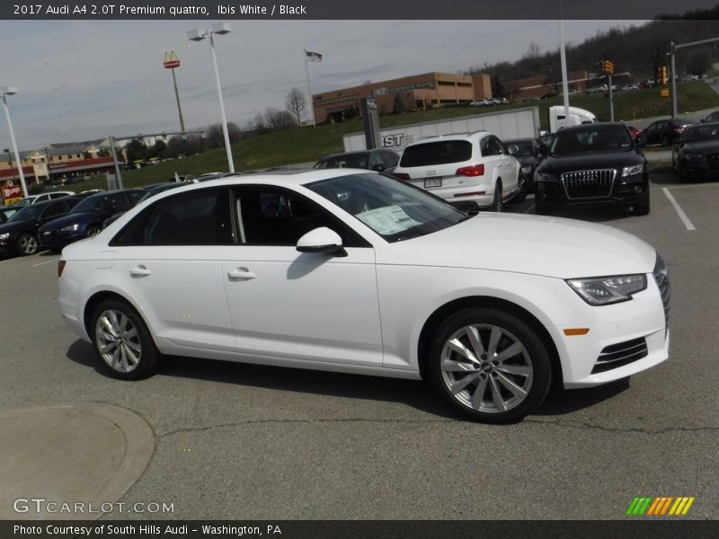 Ibis White / Black 2017 Audi A4 2.0T Premium quattro