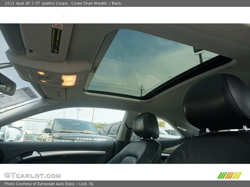 Cuvee Silver Metallic / Black 2013 Audi A5 2.0T quattro Coupe