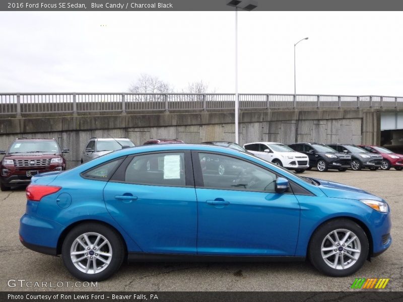 Blue Candy / Charcoal Black 2016 Ford Focus SE Sedan