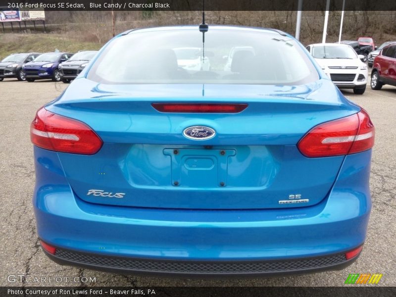 Blue Candy / Charcoal Black 2016 Ford Focus SE Sedan