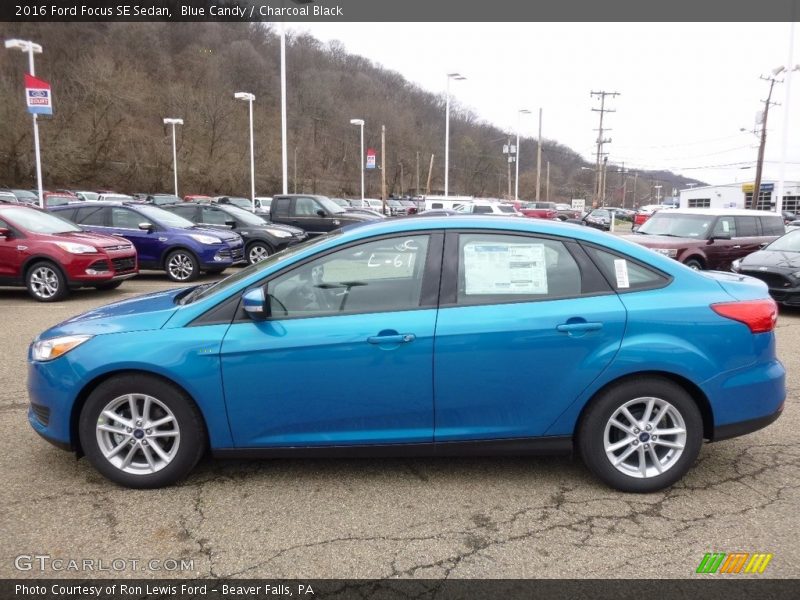Blue Candy / Charcoal Black 2016 Ford Focus SE Sedan