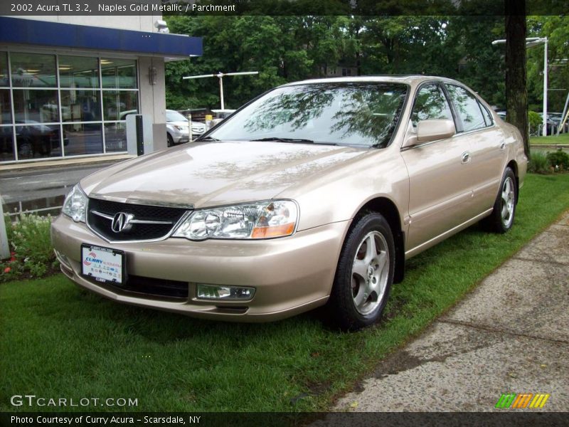 Naples Gold Metallic / Parchment 2002 Acura TL 3.2