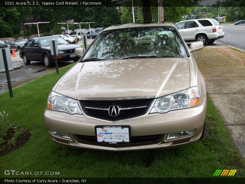 Naples Gold Metallic / Parchment 2002 Acura TL 3.2