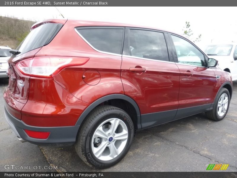 Sunset Metallic / Charcoal Black 2016 Ford Escape SE 4WD