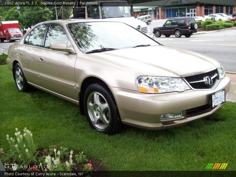 Naples Gold Metallic / Parchment 2002 Acura TL 3.2