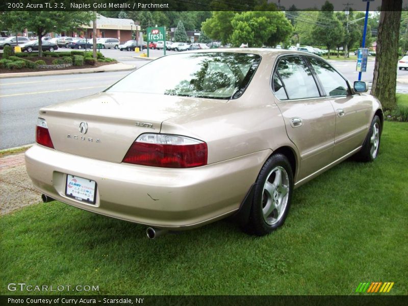 Naples Gold Metallic / Parchment 2002 Acura TL 3.2