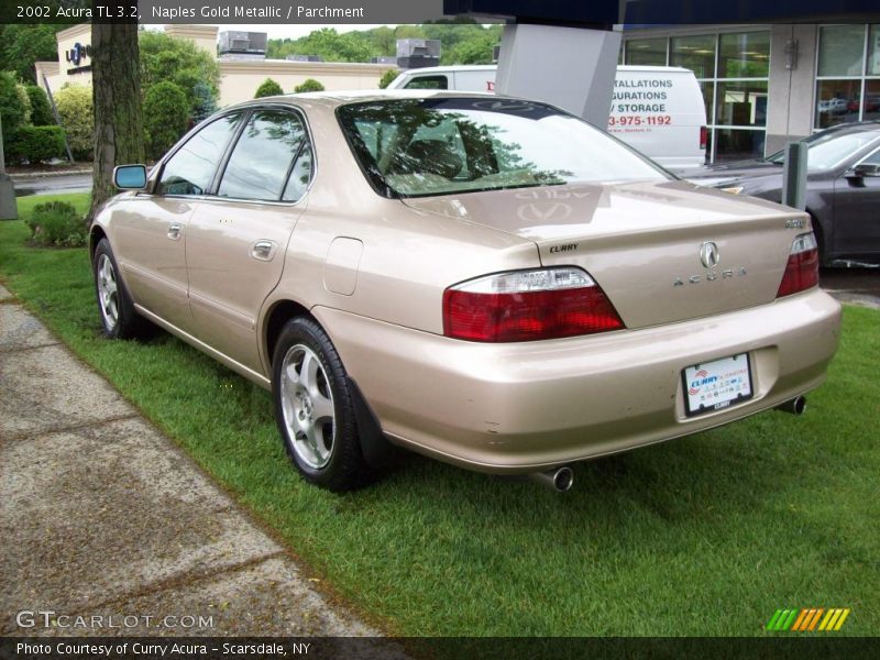 Naples Gold Metallic / Parchment 2002 Acura TL 3.2