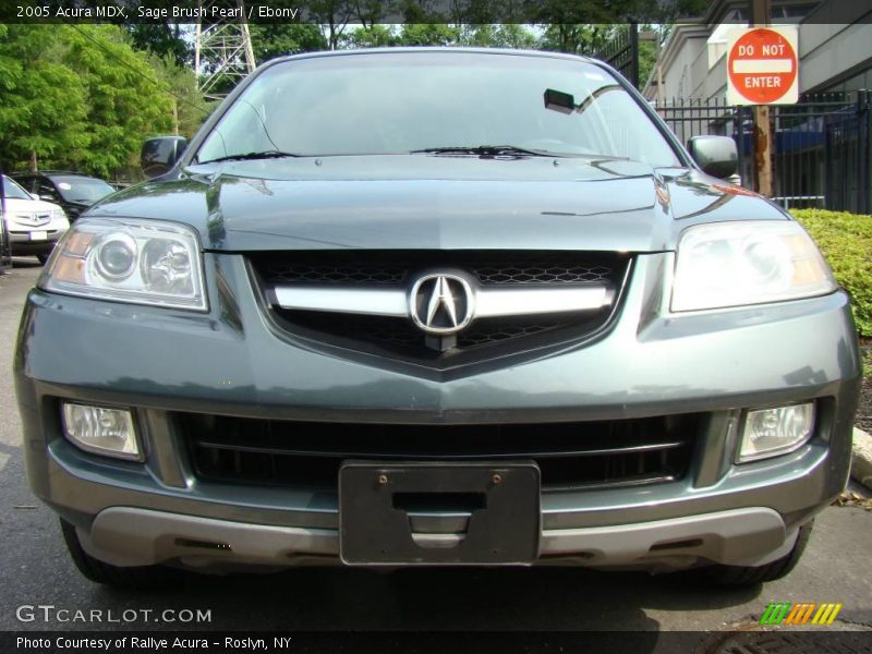 Sage Brush Pearl / Ebony 2005 Acura MDX