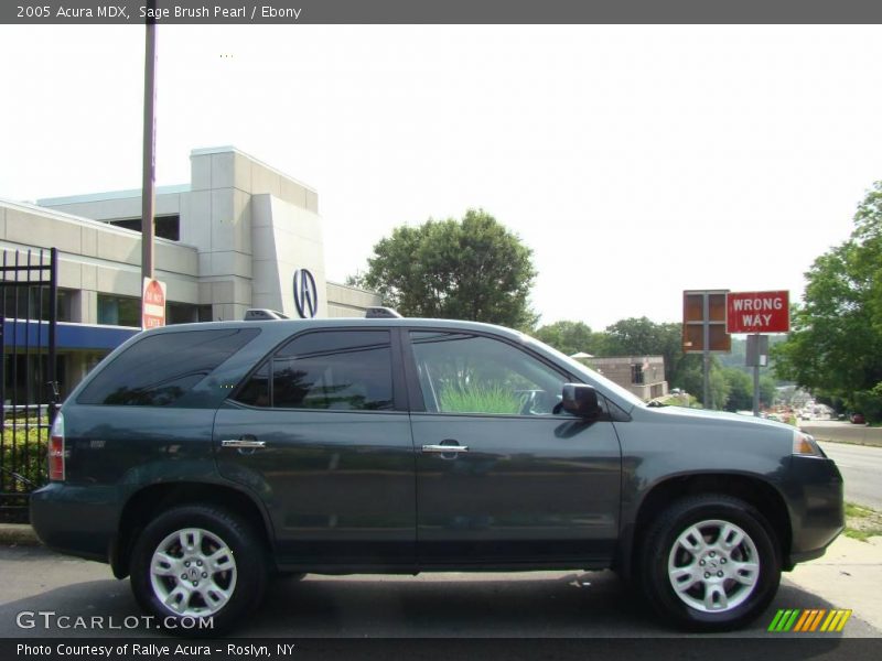 Sage Brush Pearl / Ebony 2005 Acura MDX