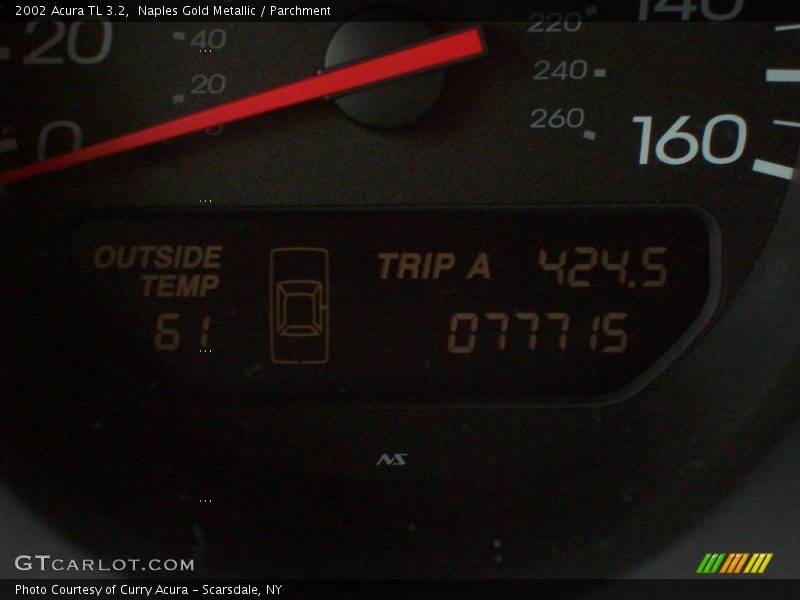 Naples Gold Metallic / Parchment 2002 Acura TL 3.2