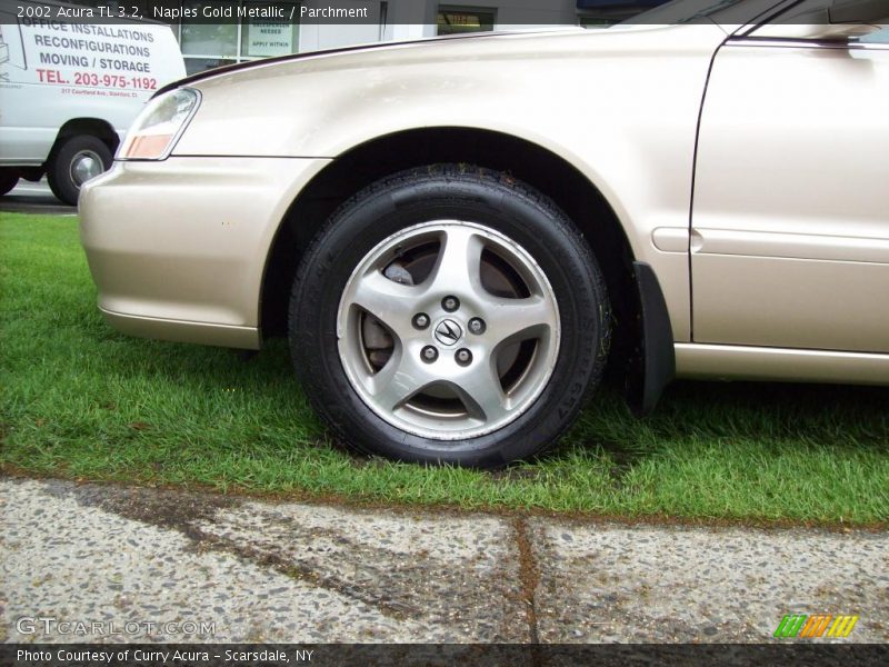 Naples Gold Metallic / Parchment 2002 Acura TL 3.2