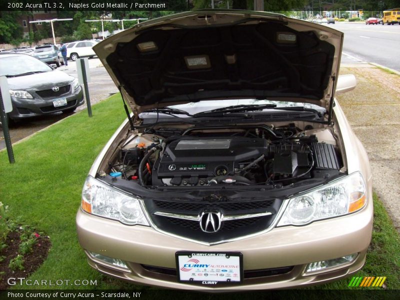 Naples Gold Metallic / Parchment 2002 Acura TL 3.2