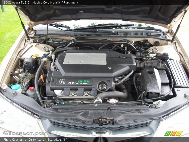 Naples Gold Metallic / Parchment 2002 Acura TL 3.2