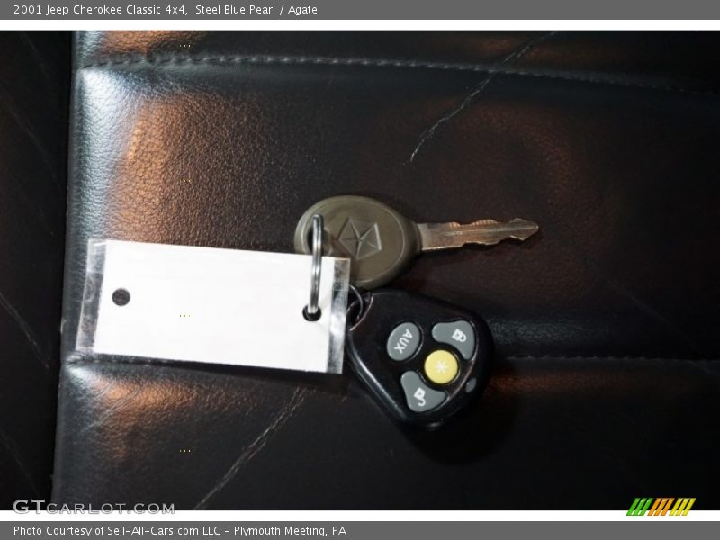 Steel Blue Pearl / Agate 2001 Jeep Cherokee Classic 4x4