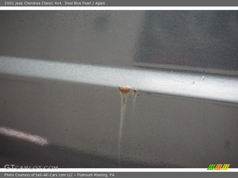 Steel Blue Pearl / Agate 2001 Jeep Cherokee Classic 4x4
