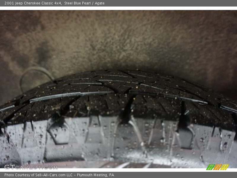 Steel Blue Pearl / Agate 2001 Jeep Cherokee Classic 4x4