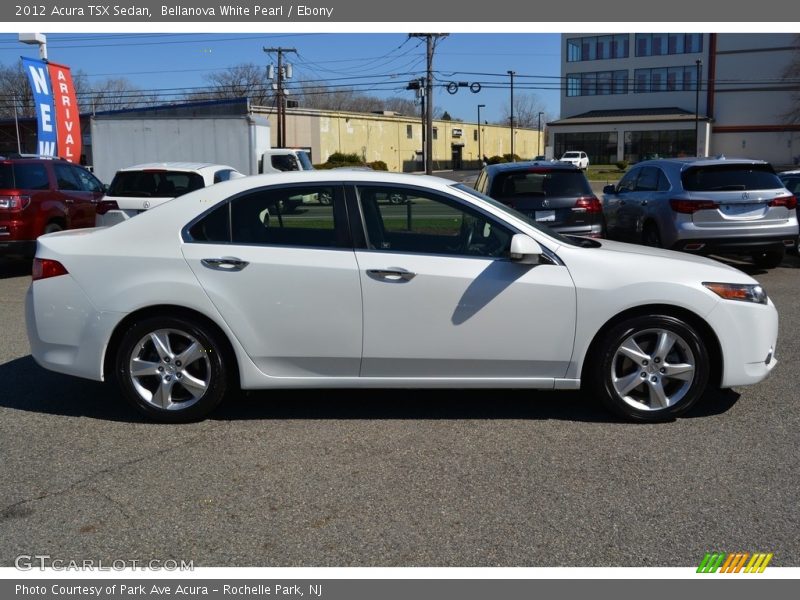 Bellanova White Pearl / Ebony 2012 Acura TSX Sedan