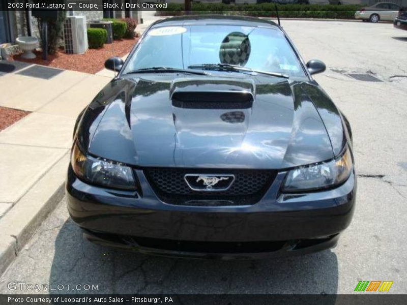 Black / Dark Charcoal 2003 Ford Mustang GT Coupe
