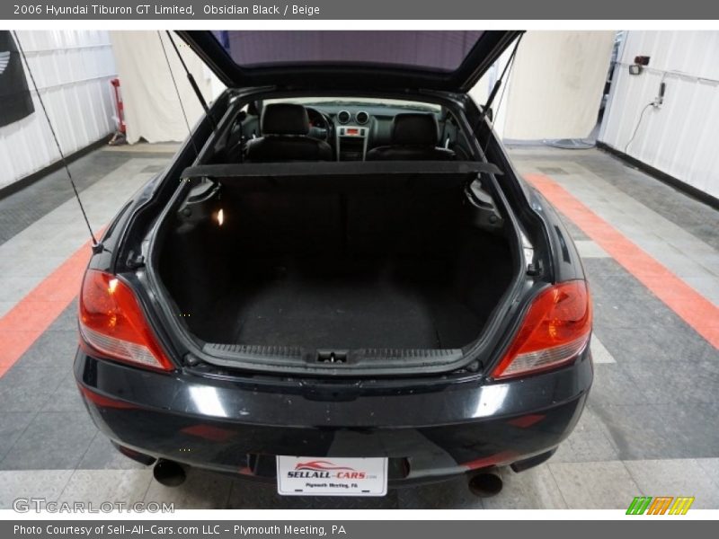 Obsidian Black / Beige 2006 Hyundai Tiburon GT Limited