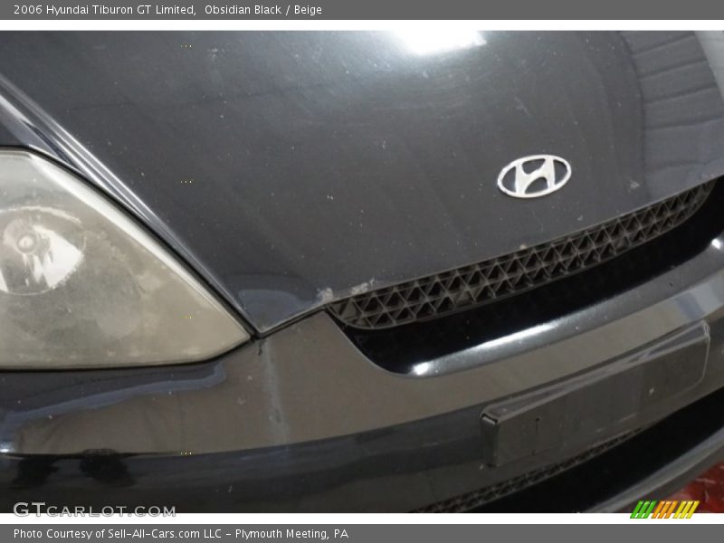 Obsidian Black / Beige 2006 Hyundai Tiburon GT Limited