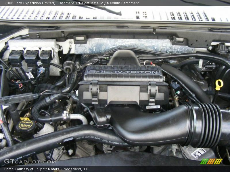 Cashmere Tri-Coat Metallic / Medium Parchment 2006 Ford Expedition Limited