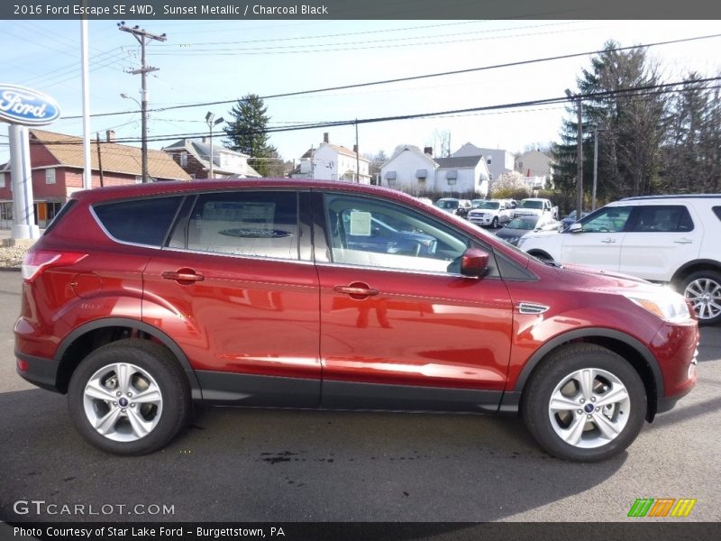 Sunset Metallic / Charcoal Black 2016 Ford Escape SE 4WD