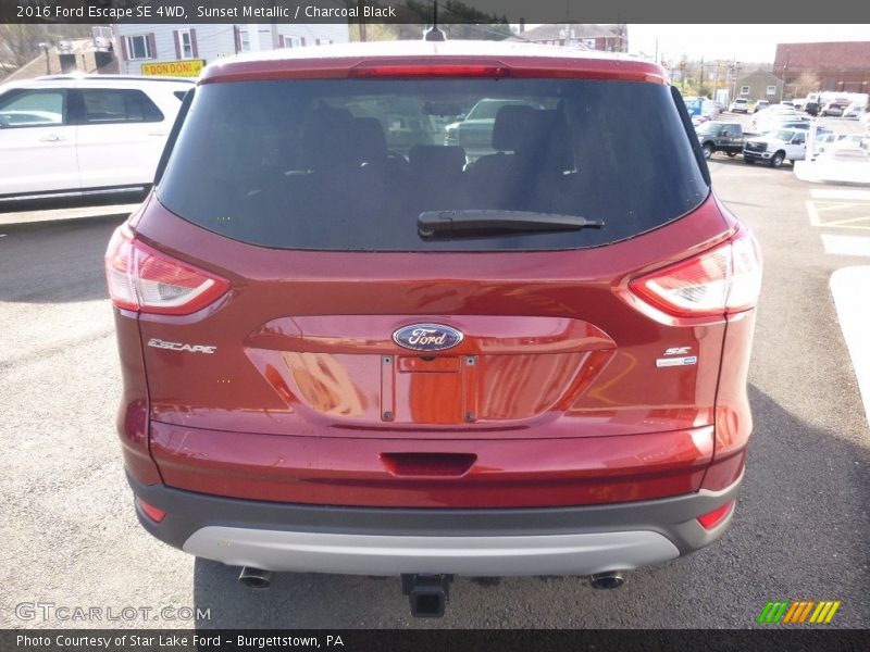 Sunset Metallic / Charcoal Black 2016 Ford Escape SE 4WD