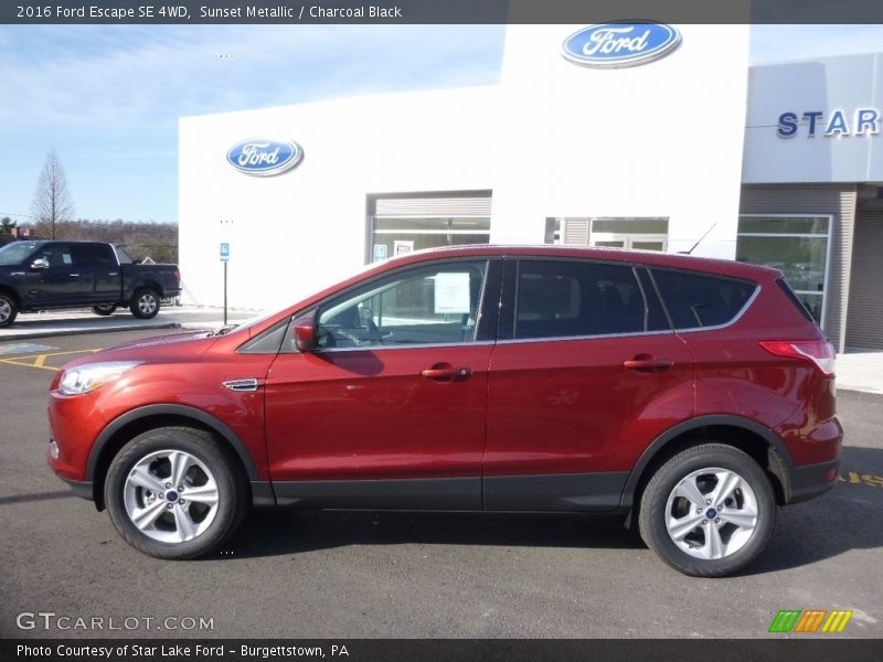 Sunset Metallic / Charcoal Black 2016 Ford Escape SE 4WD