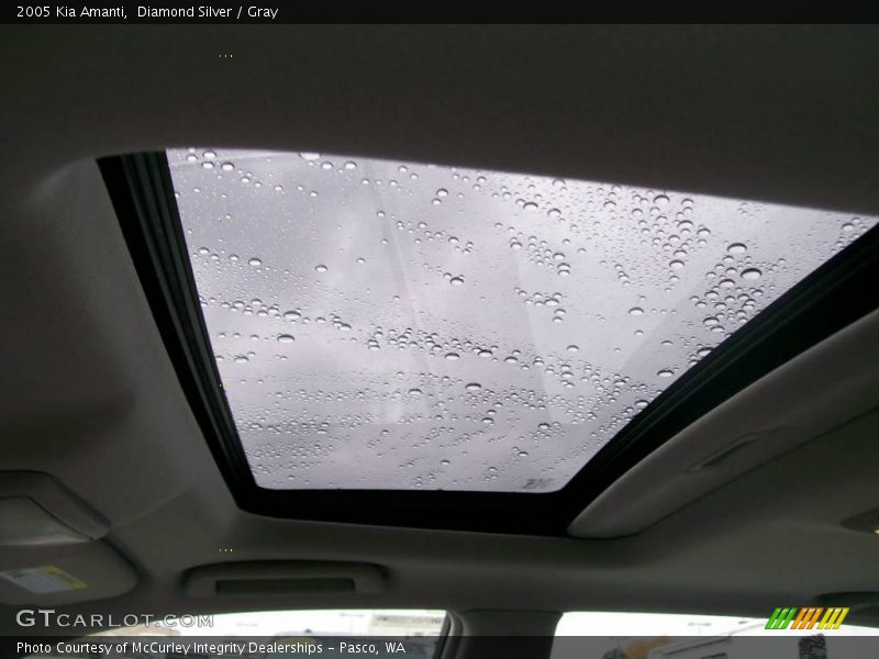 Diamond Silver / Gray 2005 Kia Amanti