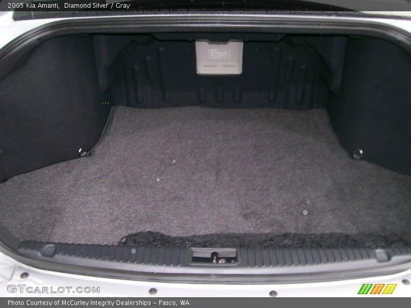 Diamond Silver / Gray 2005 Kia Amanti