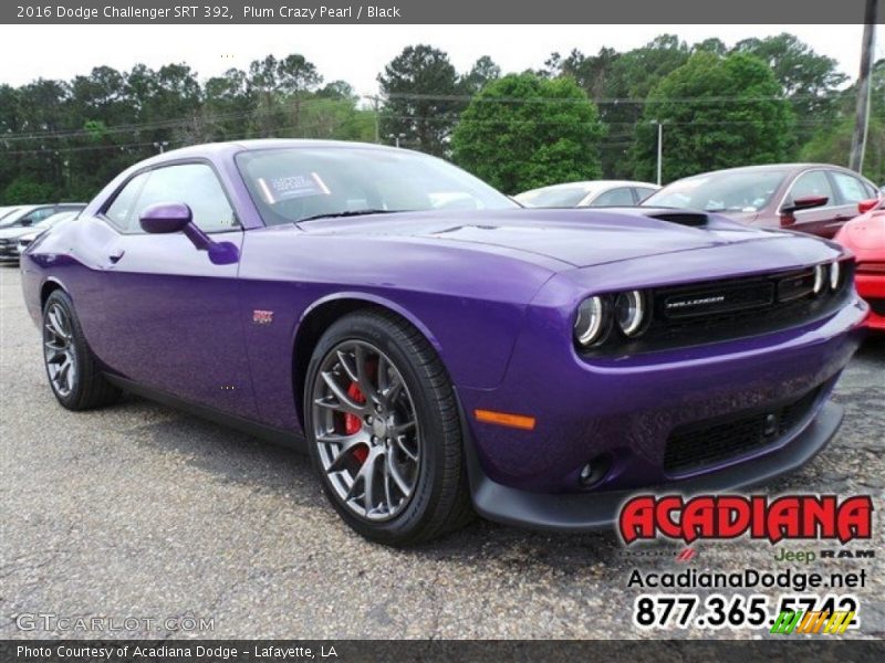 Plum Crazy Pearl / Black 2016 Dodge Challenger SRT 392