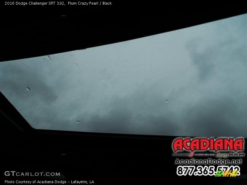 Plum Crazy Pearl / Black 2016 Dodge Challenger SRT 392