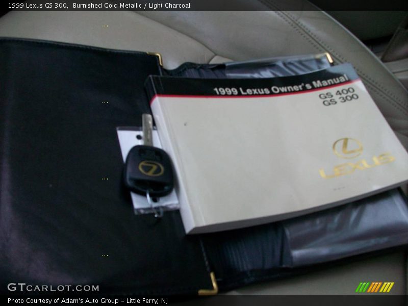 Burnished Gold Metallic / Light Charcoal 1999 Lexus GS 300